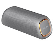 LG XBOOM Go DXG7Q Bluetooth Speaker, DXG7QGR